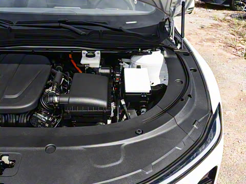 2026�� �����������̰� 310������