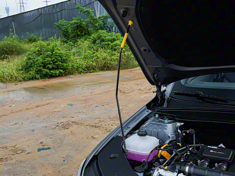 2025�� DM-i �Ǽݰ� 128KM��ȡ��