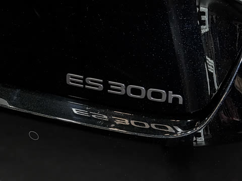 2026�� 300h