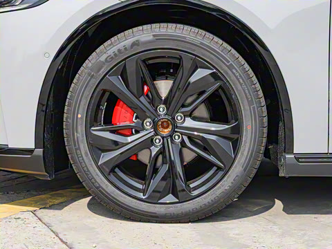 2026�� ����200 Pro�˶���