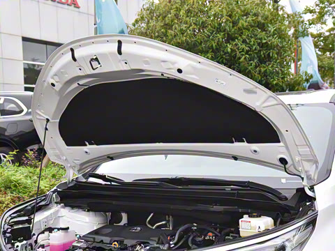 2026�� 2.5L ˫�����������