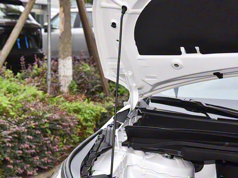 2026�� 2.5L ˫�����������