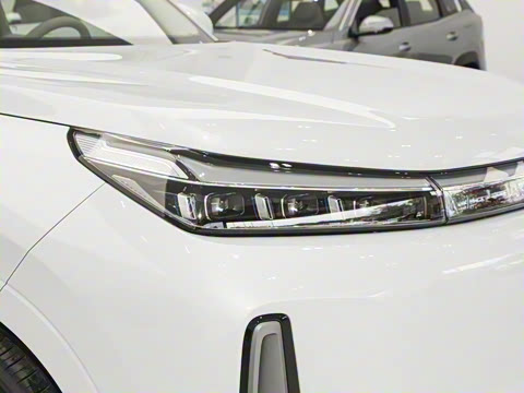 2025�� 230km �����Ǻ���