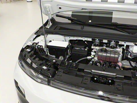 2025�� 550������