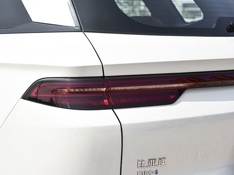 2026�� DM-i 220KM��Խ��