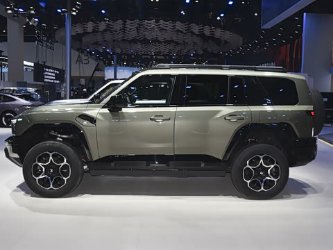 2025�� Pro