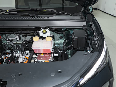 2025�� 530�캽��