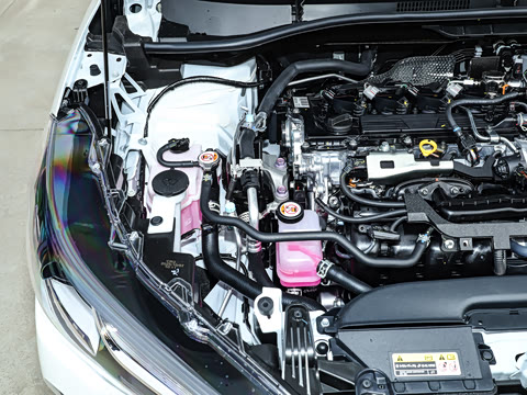 2026�� 2.0L ���ܵ��˫�� �ȷ��