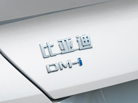 2026�� DM-i 175kW�캽Pro��