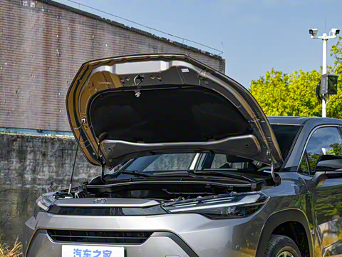 2026�� 2.0L ���ܵ��˫�� ������