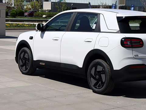 2026�� 310�Ȱ���