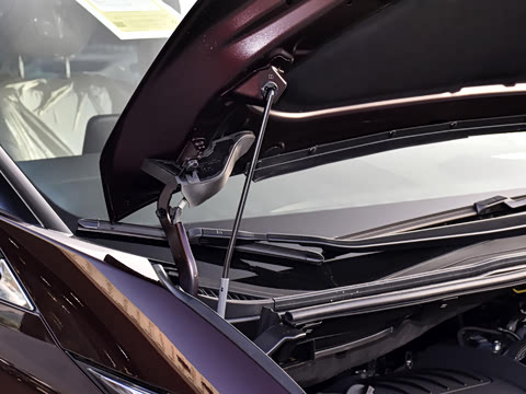 2025�� 500h ��������