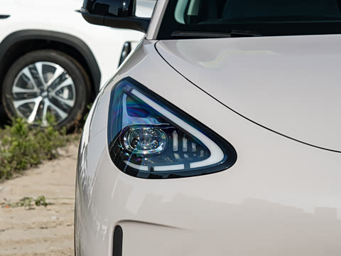 2026�� 310km ������