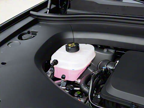 2026�� ���� Max������ 5��