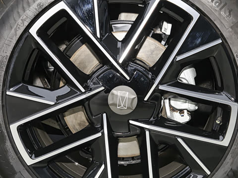 2025�� Elite�����