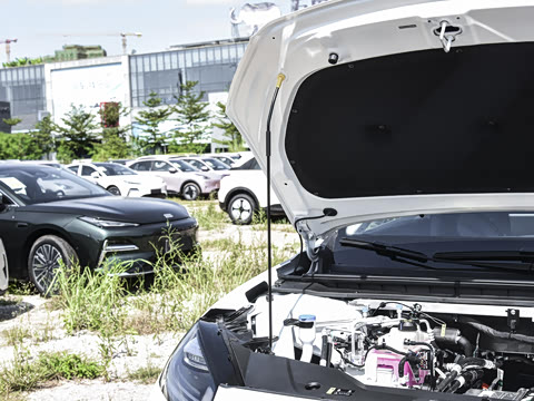 2026�� 520������