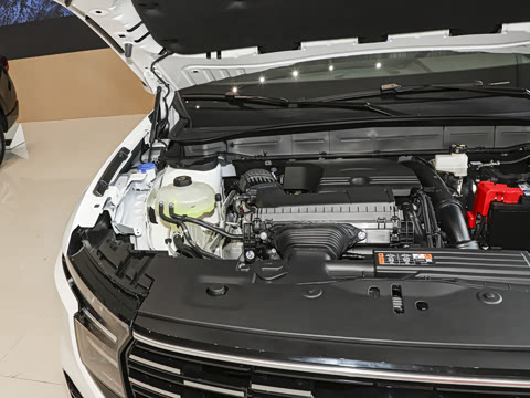 2026�� ���L 2.0T EcoBoost ��������������