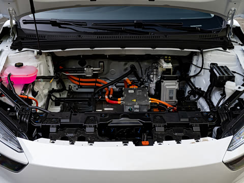 2026�� 530km �ɿ�����