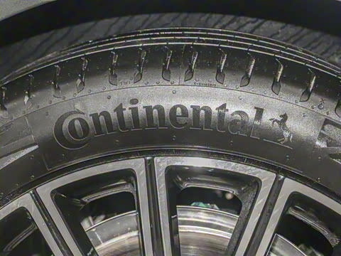 2025�� 260����������