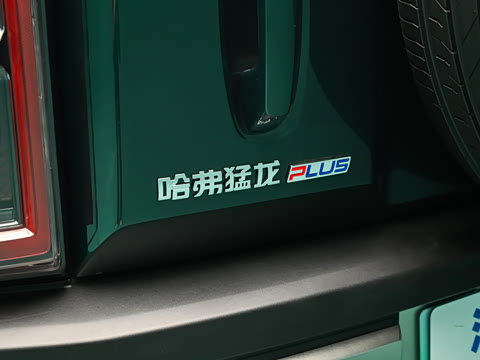 2026�� 255km ������