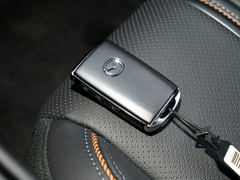 2026�� 2.5L ���а�