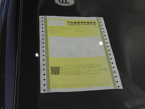 2025�� ���� 650MaxѲ����