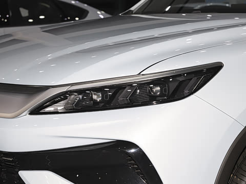 2026�� DM-i 220KM׿Խ��