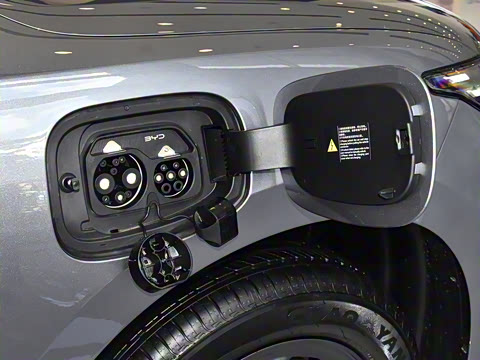 2025�� 450�ǻݳ��а�