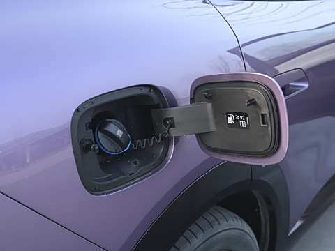 2026�� ���� �����