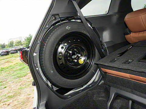 2026�� 2.5L ˫������������