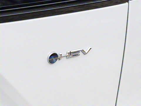 2026�� 2.0L ���ܵ��˫�� ���Ȱ�