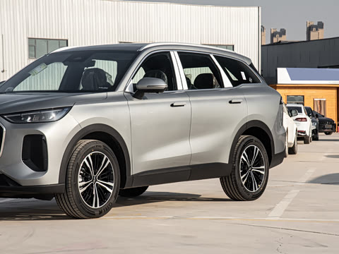 2026�� 9X 2.0T �Զ�����������