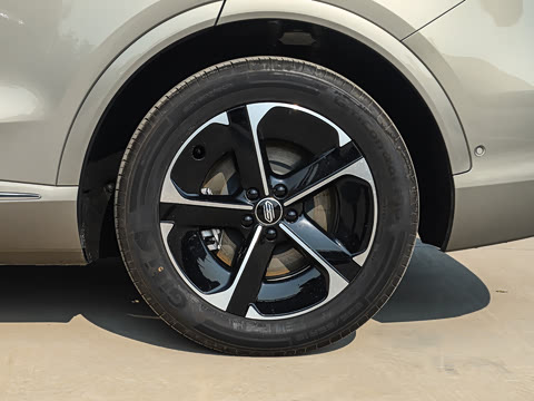 2025�� ���� Pro