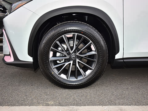 2026�� 350h ��ɫ�޶���