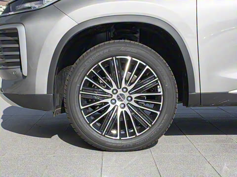 2025�� 300T ������ҹ��