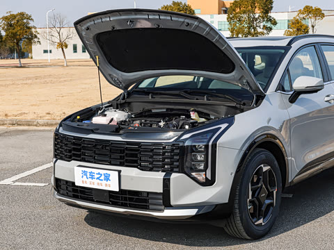 2026�� ����������