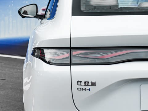 2026�� DM-i 320KM��Խ��