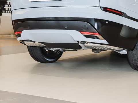 2026�� 250PS Dynamic SE