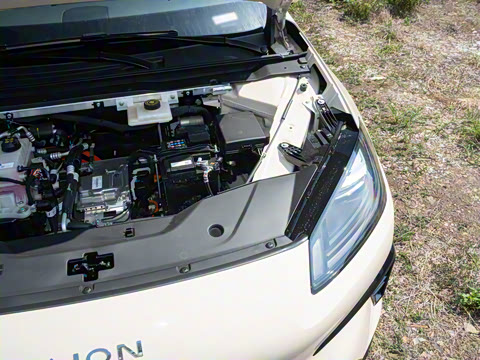 2026�� 520�Ǻ���