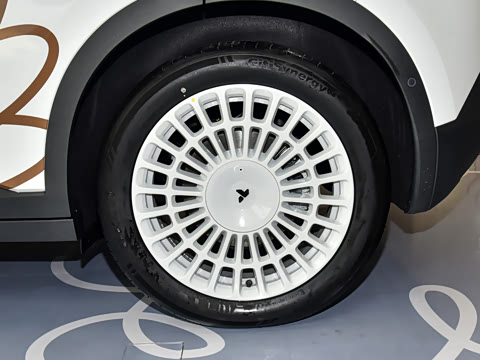 2026�� ���������������ر��