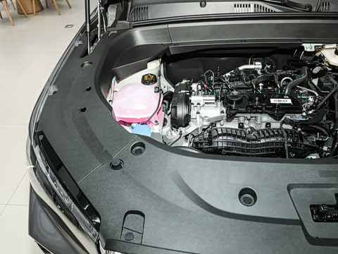 2026�� 2.0TD DCT ����Խɽ��