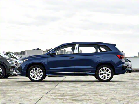 2026�� 280TSI �Զ��ȷ��