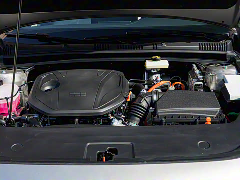 2026�� 125km̽��+��