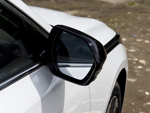 2026�� 1.5L �������� ������
