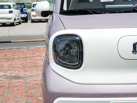 2026�� 222km ������