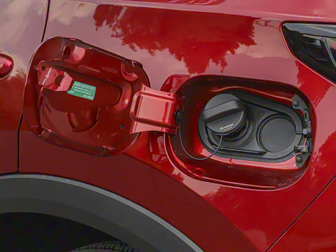 2025�� 2.0L �Զ���������Pro