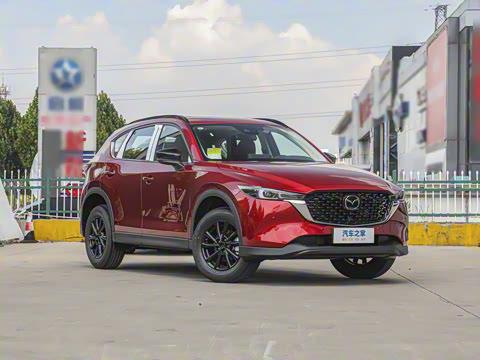 2025�� 2.0L �Զ���������Pro