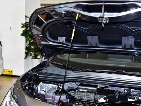 2025�� �Ŀ� ������ ���ǳ�������