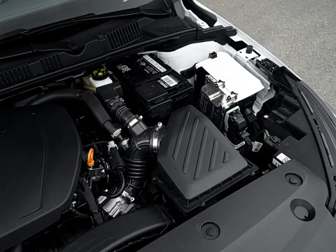 2027�� ���� 1.5L �ֶ�������