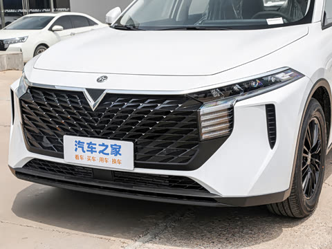 2026�� 260T ������ Pro